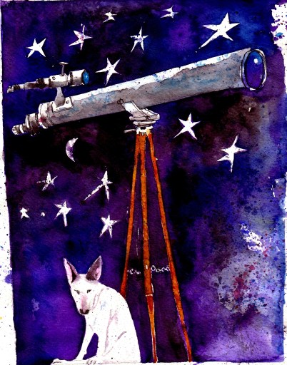 Stargazing - giant telescope with Keefy the Engish Bull Terrier